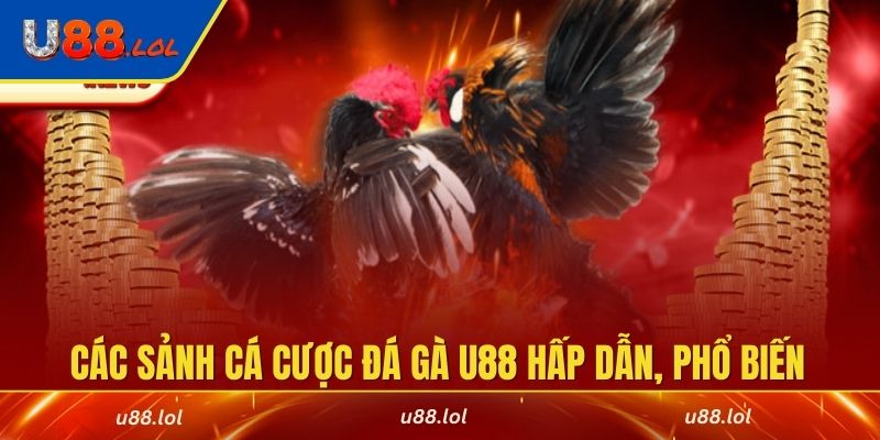 Điểm danh các sảnh cá cược đá gà U88 hấp dẫn, phổ biến