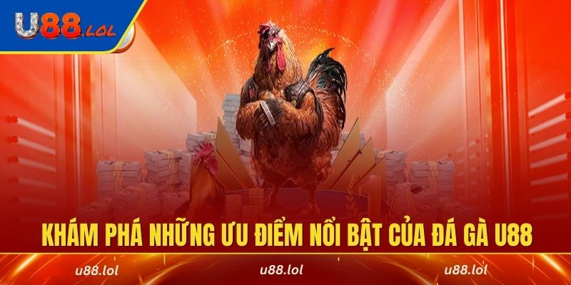 Khám phá những ưu điểm nổi bật của đá gà U88
